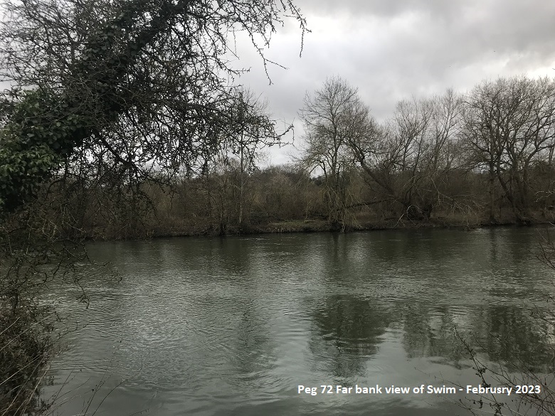FAR BANK VIEW